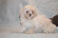 processed/cc898bca-4025-4bd3-808a-7efa15cbe311/listing/0972fc41-b624-4fb7-8e57-2907af55c15b/8d6799c6-152a-4f0f-860d-f01477814953