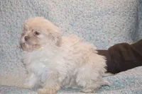 processed/cc898bca-4025-4bd3-808a-7efa15cbe311/listing/0972fc41-b624-4fb7-8e57-2907af55c15b/965df23b-d08f-4c9a-abf4-6dd9c208aeaf