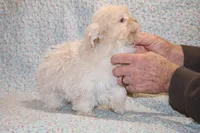 processed/cc898bca-4025-4bd3-808a-7efa15cbe311/listing/0972fc41-b624-4fb7-8e57-2907af55c15b/a242931f-a22e-406e-a26e-7392a34a12d3