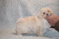 processed/cc898bca-4025-4bd3-808a-7efa15cbe311/listing/0972fc41-b624-4fb7-8e57-2907af55c15b/d5147f11-6a41-481d-bfc9-83c20b6539a5