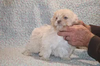 processed/cc898bca-4025-4bd3-808a-7efa15cbe311/listing/0972fc41-b624-4fb7-8e57-2907af55c15b/db2f4ee5-851e-46cc-ba35-b77716b0e09c