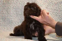 processed/cc898bca-4025-4bd3-808a-7efa15cbe311/listing/5f9e384d-ff71-4956-aa36-57fabc31fed7/1f31cadf-4c3b-4dc9-bde0-33a2915050a4