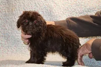 processed/cc898bca-4025-4bd3-808a-7efa15cbe311/listing/5f9e384d-ff71-4956-aa36-57fabc31fed7/264aa4c9-7e22-4bf8-b304-39f5eef1907b