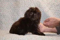 processed/cc898bca-4025-4bd3-808a-7efa15cbe311/listing/5f9e384d-ff71-4956-aa36-57fabc31fed7/6c938fcc-470e-47de-823e-d5393cdab11a