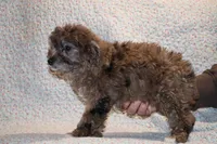 processed/cc898bca-4025-4bd3-808a-7efa15cbe311/listing/c70d3696-4e1d-4939-9bf2-97ccb97730e4/014dd546-bd75-4df7-acc0-a7d19e4f31ac