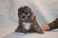 processed/cc898bca-4025-4bd3-808a-7efa15cbe311/listing/c70d3696-4e1d-4939-9bf2-97ccb97730e4/4ca4caac-b709-49fe-a2be-15eae702cd07