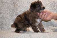 processed/cc898bca-4025-4bd3-808a-7efa15cbe311/listing/c70d3696-4e1d-4939-9bf2-97ccb97730e4/818e588a-c2bc-4d88-ad1c-5440c1197ea5