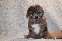 processed/cc898bca-4025-4bd3-808a-7efa15cbe311/listing/c70d3696-4e1d-4939-9bf2-97ccb97730e4/9cdec388-35b0-4be1-a67b-1c6ee31a1055