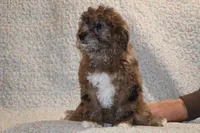 processed/cc898bca-4025-4bd3-808a-7efa15cbe311/listing/c70d3696-4e1d-4939-9bf2-97ccb97730e4/d8dcd13b-984b-454c-8c64-8b7b9df405fa