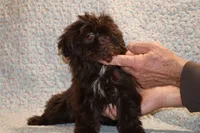 processed/cc898bca-4025-4bd3-808a-7efa15cbe311/listing/e5c4bd72-5f0f-4f1a-ba4e-89701d829515/0083e32b-14ef-4c9f-bf36-5b2afbb5698b