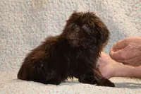 processed/cc898bca-4025-4bd3-808a-7efa15cbe311/listing/e5c4bd72-5f0f-4f1a-ba4e-89701d829515/0ee8bc2a-6e41-4814-b3e7-f6f1898e84ba