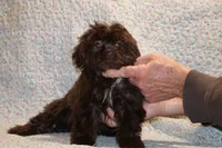 processed/cc898bca-4025-4bd3-808a-7efa15cbe311/listing/e5c4bd72-5f0f-4f1a-ba4e-89701d829515/67e1b49d-4539-4bd9-8e58-c0c6dbf6c559