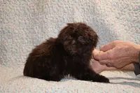 processed/cc898bca-4025-4bd3-808a-7efa15cbe311/listing/e5c4bd72-5f0f-4f1a-ba4e-89701d829515/9ac977d5-46db-4d45-b8d1-047e4ec5dd13