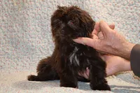 processed/cc898bca-4025-4bd3-808a-7efa15cbe311/listing/e5c4bd72-5f0f-4f1a-ba4e-89701d829515/a5d42437-5f85-4009-a818-7968d6e27894