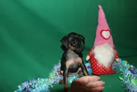 processed/cc945a2a-5e5c-45c6-87b8-5fa07309902c/listing/0ca86140-8902-4151-900c-8dec13868043/0ec8172d-860b-42a1-8956-47e76ea01cdb