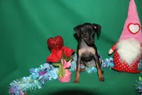 processed/cc945a2a-5e5c-45c6-87b8-5fa07309902c/listing/0ca86140-8902-4151-900c-8dec13868043/1cd7f611-7c52-4d44-8135-43c2f5f97c9a