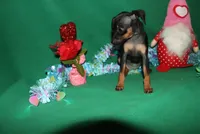 processed/cc945a2a-5e5c-45c6-87b8-5fa07309902c/listing/0ca86140-8902-4151-900c-8dec13868043/539cfb12-514f-4ff5-acd3-83f680936059