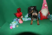 processed/cc945a2a-5e5c-45c6-87b8-5fa07309902c/listing/0ca86140-8902-4151-900c-8dec13868043/88e7da5c-ff8a-4035-a8ba-a1a4a2e0b07e