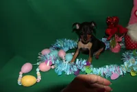 processed/cc945a2a-5e5c-45c6-87b8-5fa07309902c/listing/39a87c7b-e3c6-4405-8f43-c8175b6465a7/3f12131e-c345-4033-8b2e-d67cc9c9c8e3