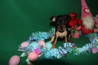 processed/cc945a2a-5e5c-45c6-87b8-5fa07309902c/listing/39a87c7b-e3c6-4405-8f43-c8175b6465a7/4a4426a5-ffc2-46f2-8c9b-6d2a5ac3fb28