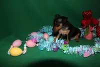 processed/cc945a2a-5e5c-45c6-87b8-5fa07309902c/listing/39a87c7b-e3c6-4405-8f43-c8175b6465a7/60f9fbd2-b6ee-428a-b0f2-755ab54ed516