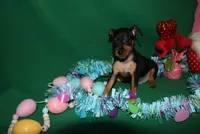 processed/cc945a2a-5e5c-45c6-87b8-5fa07309902c/listing/39a87c7b-e3c6-4405-8f43-c8175b6465a7/684f3def-a10a-4454-b7a3-673d4f62a026