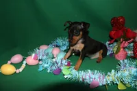 processed/cc945a2a-5e5c-45c6-87b8-5fa07309902c/listing/39a87c7b-e3c6-4405-8f43-c8175b6465a7/df6e84fc-a842-4064-9cef-094fc943a4ce