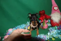 processed/cc945a2a-5e5c-45c6-87b8-5fa07309902c/listing/39a87c7b-e3c6-4405-8f43-c8175b6465a7/e228f11e-18c2-4b31-8457-adf1d5ec5ad4