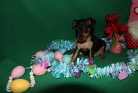 processed/cc945a2a-5e5c-45c6-87b8-5fa07309902c/listing/39a87c7b-e3c6-4405-8f43-c8175b6465a7/efddee53-c396-4ad1-943d-30c8c964acb4