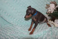 processed/cc945a2a-5e5c-45c6-87b8-5fa07309902c/listing/3affaf06-424c-4083-948d-023289575cbe/0014e0b0-31d1-4ce9-9980-75b59fa76ad2