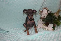 processed/cc945a2a-5e5c-45c6-87b8-5fa07309902c/listing/3affaf06-424c-4083-948d-023289575cbe/4577e36d-8b60-476b-bc73-78eadf84db26