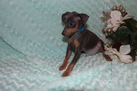 processed/cc945a2a-5e5c-45c6-87b8-5fa07309902c/listing/3affaf06-424c-4083-948d-023289575cbe/676830d0-ae9e-4217-990e-7e5e0070592d