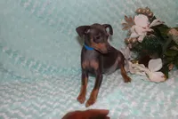 processed/cc945a2a-5e5c-45c6-87b8-5fa07309902c/listing/3affaf06-424c-4083-948d-023289575cbe/d75088ad-4a4e-4baf-a203-08310a83d4cb