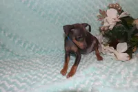 processed/cc945a2a-5e5c-45c6-87b8-5fa07309902c/listing/3affaf06-424c-4083-948d-023289575cbe/f3bb40e4-1eaa-47fa-ae21-717afa72d2ef