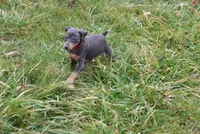 processed/cc945a2a-5e5c-45c6-87b8-5fa07309902c/listing/3ff7a5ca-53f0-4216-b75a-745cd359a722/76325055-a0fe-4760-a0a7-01e543d38246