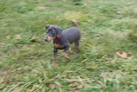 processed/cc945a2a-5e5c-45c6-87b8-5fa07309902c/listing/3ff7a5ca-53f0-4216-b75a-745cd359a722/88f3b1b3-447e-49e5-a016-477eba5d3b0a