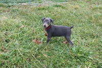 processed/cc945a2a-5e5c-45c6-87b8-5fa07309902c/listing/3ff7a5ca-53f0-4216-b75a-745cd359a722/babcb81e-d4b3-4689-b5d8-1ecc53d2613e