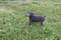 processed/cc945a2a-5e5c-45c6-87b8-5fa07309902c/listing/3ff7a5ca-53f0-4216-b75a-745cd359a722/c64efbaf-9da9-47a6-9580-a3e7c75e6136