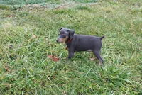 processed/cc945a2a-5e5c-45c6-87b8-5fa07309902c/listing/3ff7a5ca-53f0-4216-b75a-745cd359a722/d31c0189-eca0-4fa3-ba3e-a628f6f9d585