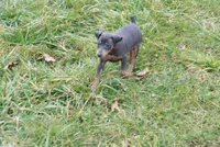 processed/cc945a2a-5e5c-45c6-87b8-5fa07309902c/listing/3ff7a5ca-53f0-4216-b75a-745cd359a722/d6469f41-1027-4a41-b9eb-7fba25d2d290