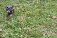 processed/cc945a2a-5e5c-45c6-87b8-5fa07309902c/listing/3ff7a5ca-53f0-4216-b75a-745cd359a722/e34a6c81-6d72-4d9b-891e-573e89764c63