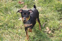 processed/cc945a2a-5e5c-45c6-87b8-5fa07309902c/listing/61598d0c-39ec-46d7-8fd4-b005660b27ab/2299e51a-6b69-4def-91ce-286bf1ea6cf6