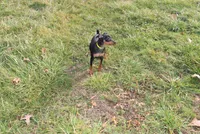 processed/cc945a2a-5e5c-45c6-87b8-5fa07309902c/listing/61598d0c-39ec-46d7-8fd4-b005660b27ab/8e305e8e-1db2-42e3-a10c-4ac935673eb5