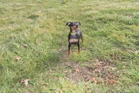 processed/cc945a2a-5e5c-45c6-87b8-5fa07309902c/listing/61598d0c-39ec-46d7-8fd4-b005660b27ab/8e457367-ff40-44c8-9f8c-283e2a8d7e9c