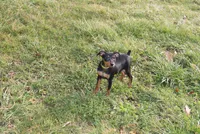 processed/cc945a2a-5e5c-45c6-87b8-5fa07309902c/listing/61598d0c-39ec-46d7-8fd4-b005660b27ab/bb105635-c1f0-41cb-a0c9-a2ced194a48e