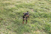 processed/cc945a2a-5e5c-45c6-87b8-5fa07309902c/listing/61598d0c-39ec-46d7-8fd4-b005660b27ab/eda42cc4-2021-4d93-82c1-299f8f9fa4fb