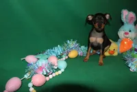 processed/cc945a2a-5e5c-45c6-87b8-5fa07309902c/listing/70b97ed2-917a-48e7-b247-6d30f5948c4c/5780fc73-cfa1-4a06-bf61-917a6a2adc27