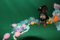 processed/cc945a2a-5e5c-45c6-87b8-5fa07309902c/listing/70b97ed2-917a-48e7-b247-6d30f5948c4c/97ab40b7-78c0-4a04-9f25-70c9bf80762b