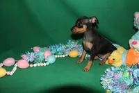 processed/cc945a2a-5e5c-45c6-87b8-5fa07309902c/listing/70b97ed2-917a-48e7-b247-6d30f5948c4c/9c926996-abf5-4ce5-a664-9e24968c1887