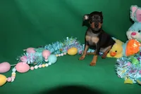 processed/cc945a2a-5e5c-45c6-87b8-5fa07309902c/listing/70b97ed2-917a-48e7-b247-6d30f5948c4c/a967dbad-066f-4414-a1c2-145c2e67ee25